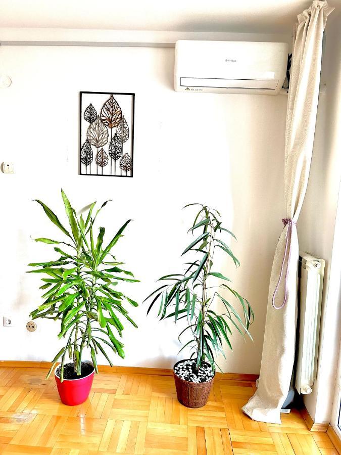 Vintage Bucharest Apartment Kültér fotó